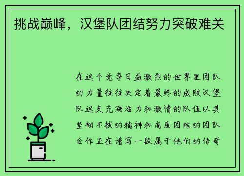 挑战巅峰，汉堡队团结努力突破难关