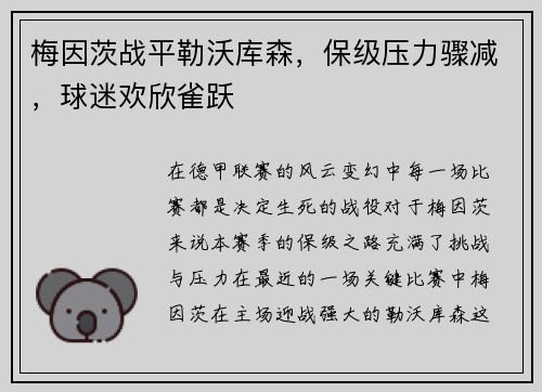 梅因茨战平勒沃库森，保级压力骤减，球迷欢欣雀跃