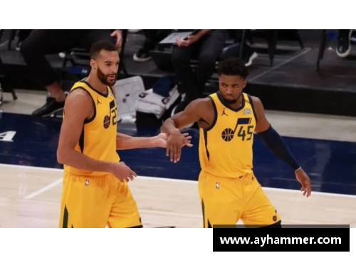 LD乐动体育官网NBA各队最新排名出炉，湖人升至第二！有望成为下一个CBA冠军？